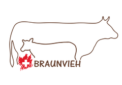 Logo Rassenclub Club Schweizer Braunvieh