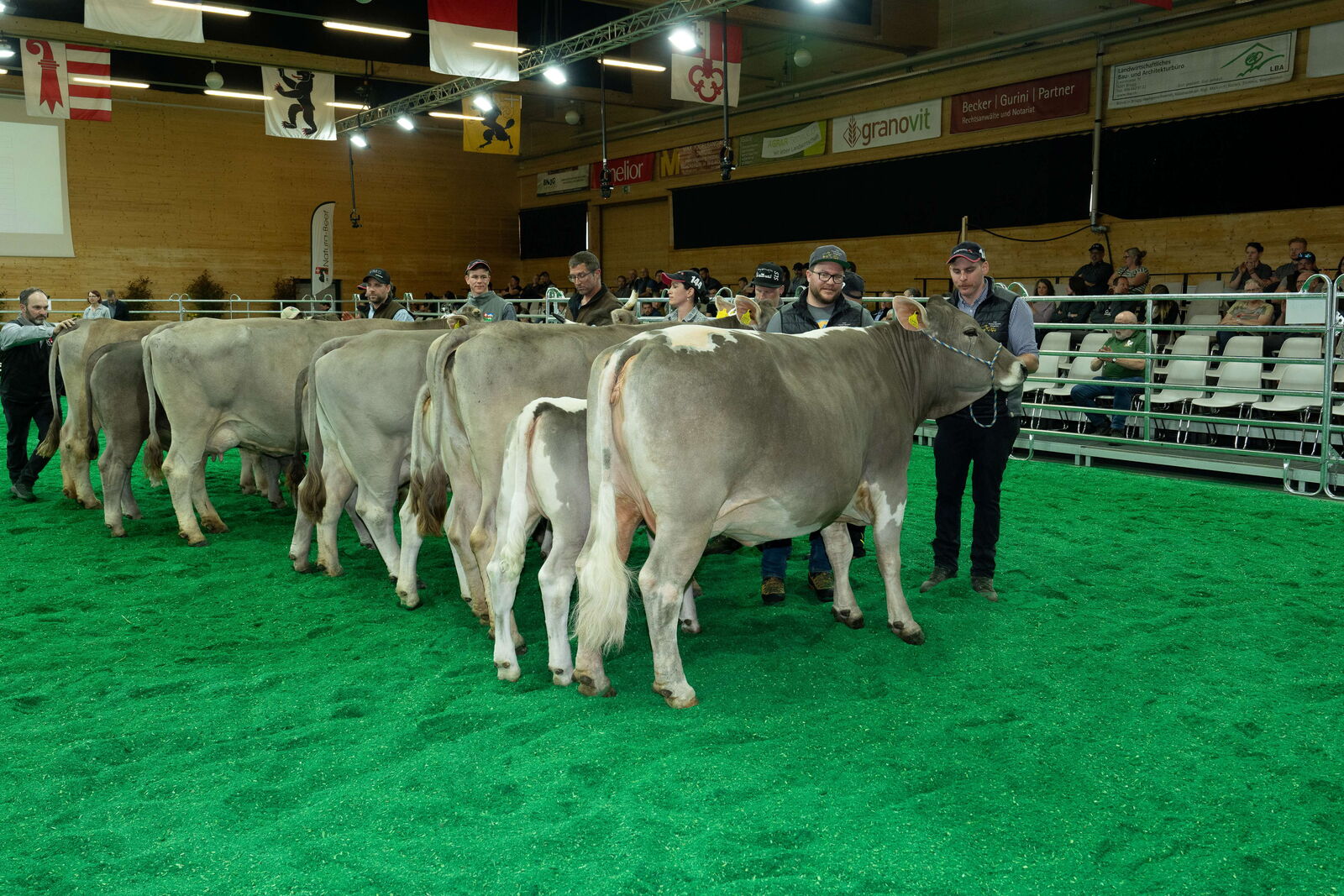Swissopen10