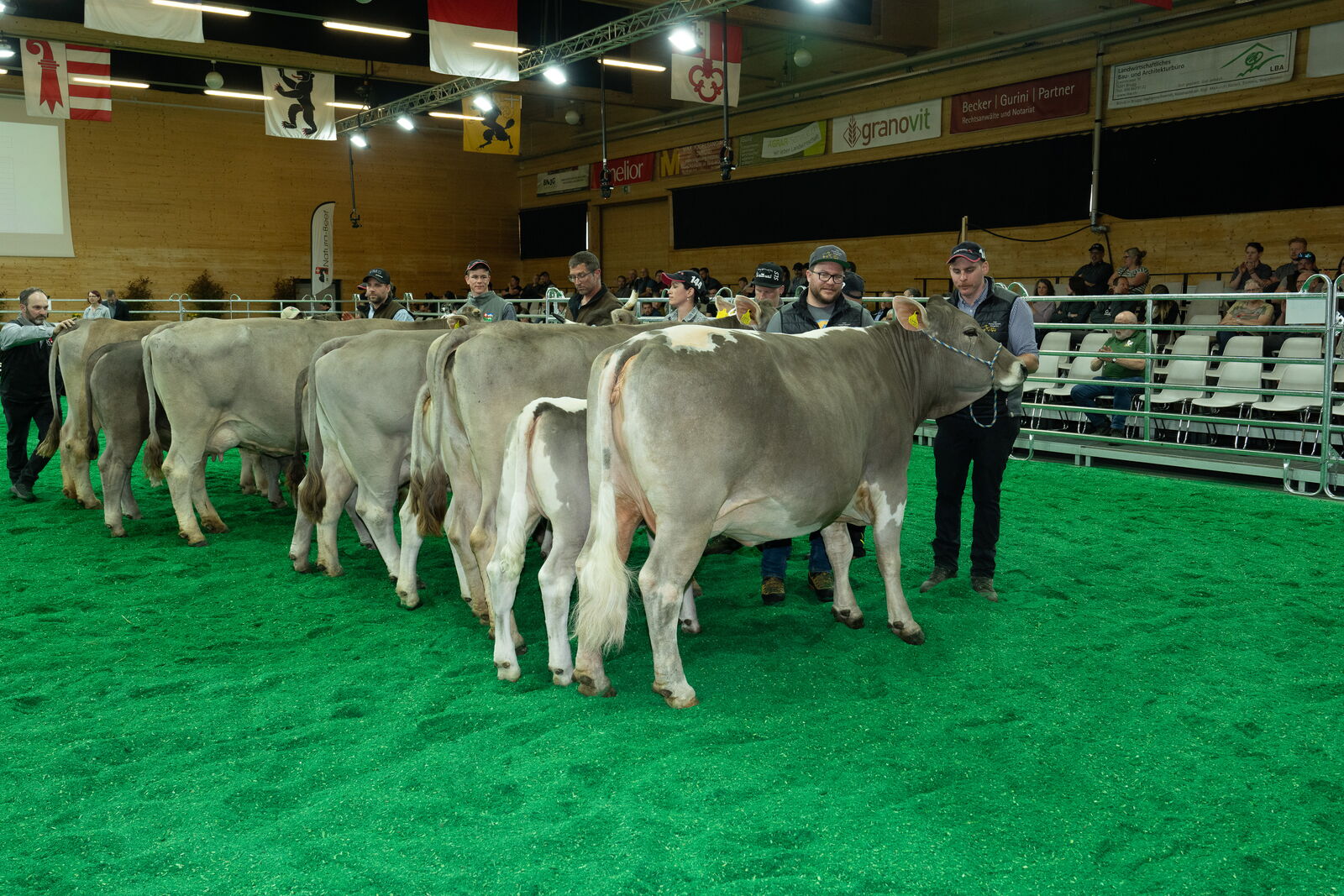 Swissopen10