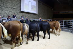 Marktpreise sind unverändert