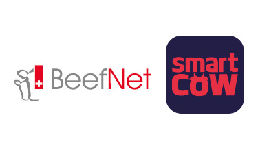 BeefNet / SmartCow