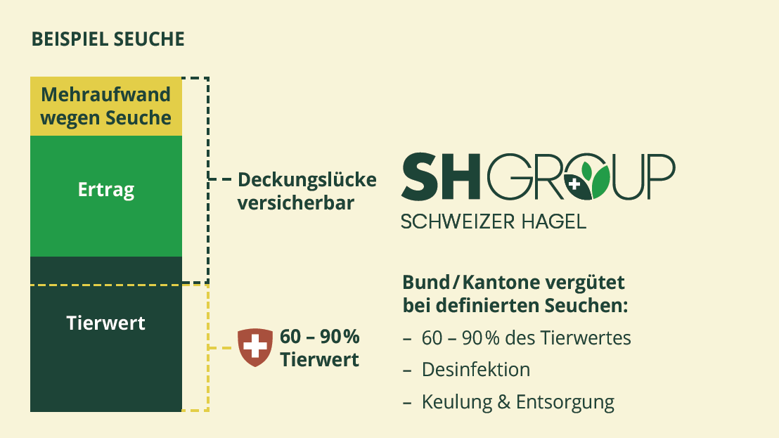Diagramm Beispiel Seuche