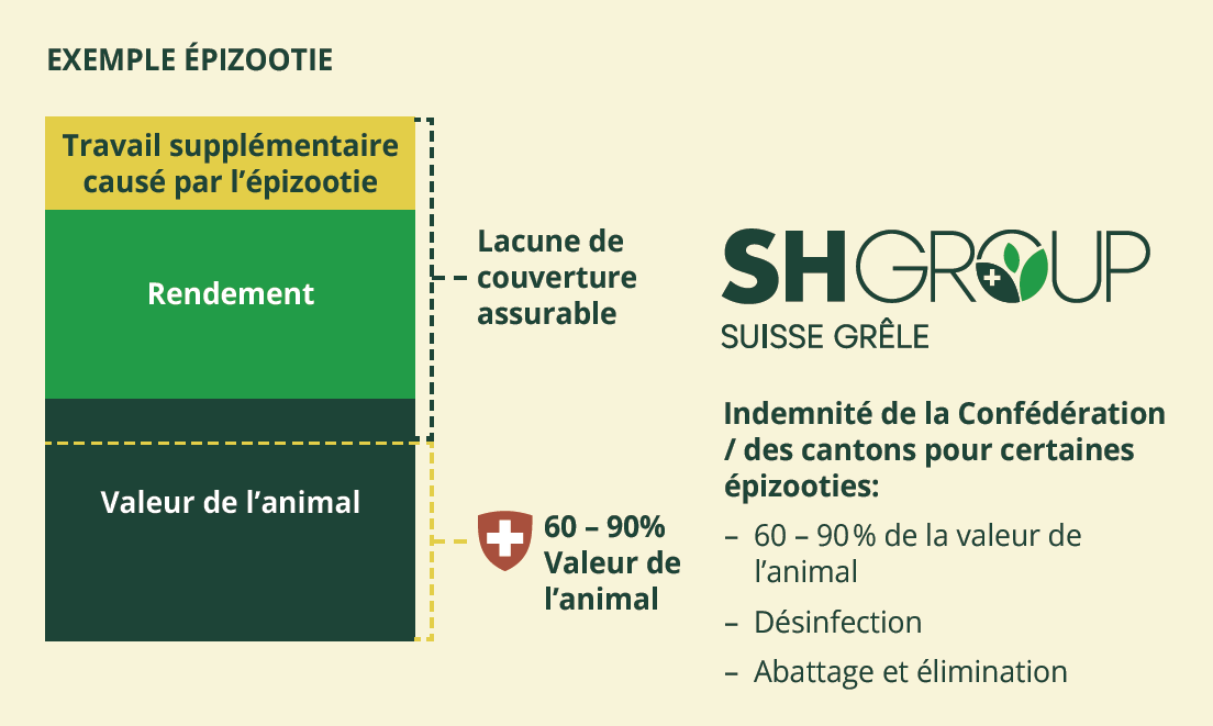 diagramme exemple épizootie